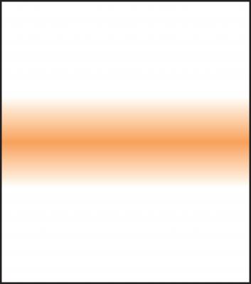SW150 Coral Stripe                      