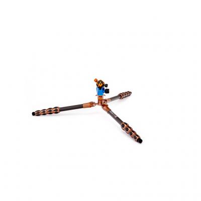 3LeggedThing 173968-Edit (1)