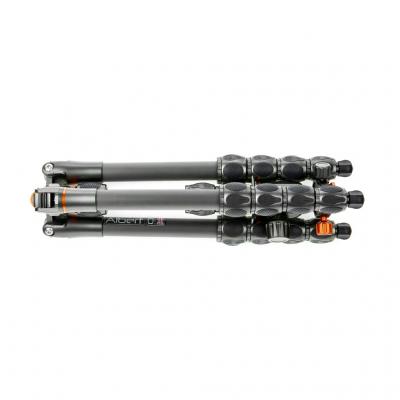 3 legged Thing 24371 (1)