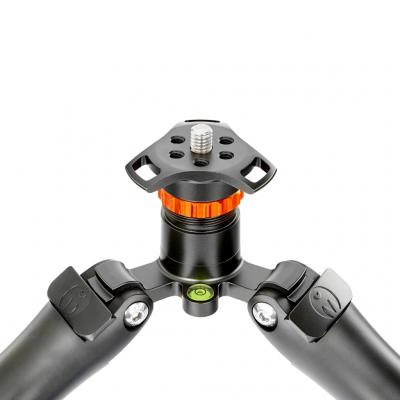 3 legged Thing 24624 (1)