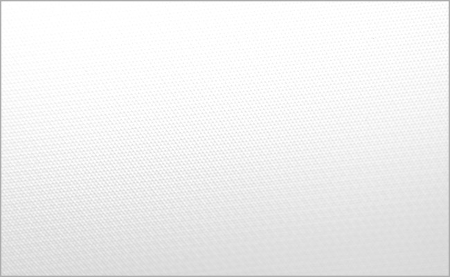 1-whitevinylbackdrop_368f04aab449f8ac44f4825a7bf227ce