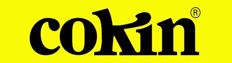 Logo velké žluté web