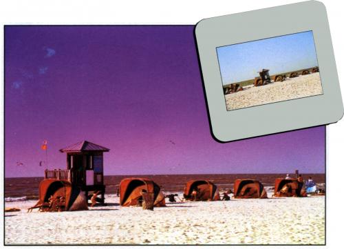 669 FLUO Mauve 1 1-OB