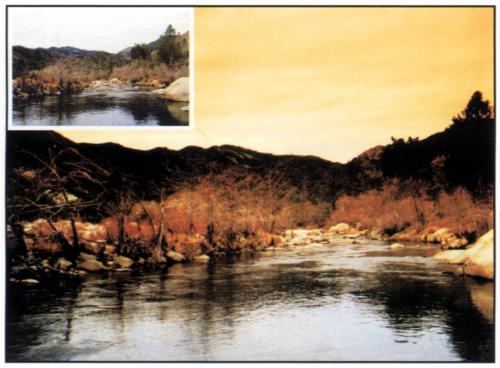 662 FLUO Orange 1-OB