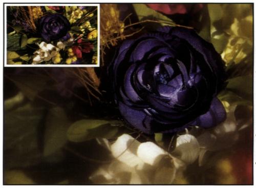 062 C spot WA GREY 1-OB