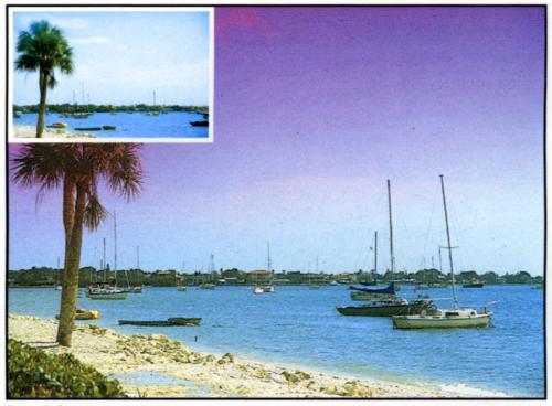 668 FLUO Mauve 1 1-OB