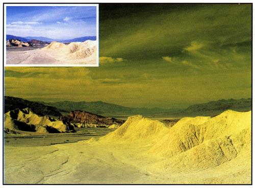 661 FLUO Yellow 2-OB