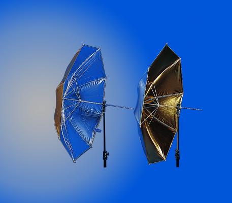 4534 Silver Gold Umbrella