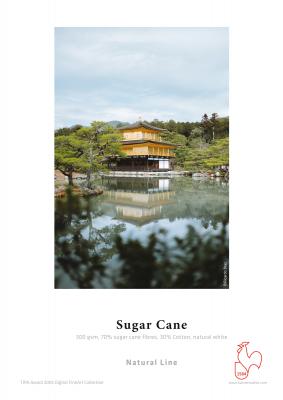 300 g Sugar Cane role 0,61 (24") x 12 m 