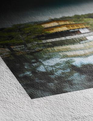 Hahnemuehle_Detail_Sugar_Cane