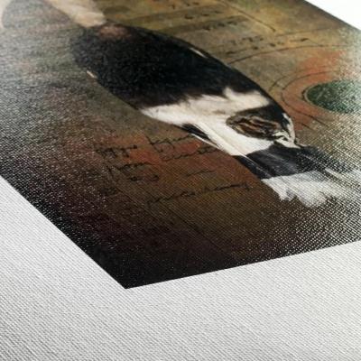 RS590_Hahnem-hle-Leonardo-Canvas-scr.large