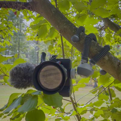 flexible-tripods-joby-podzilla-jb01732-bww-emo