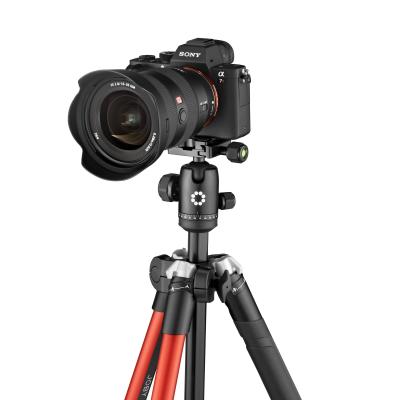 tripods_joby_rangepod-smart_jb01678-bww_mirrorless