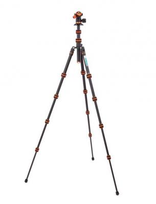 Punks Corey & AirHed Neo